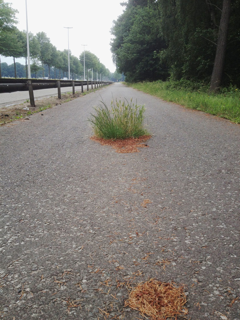 foto’s Wijnegem, België